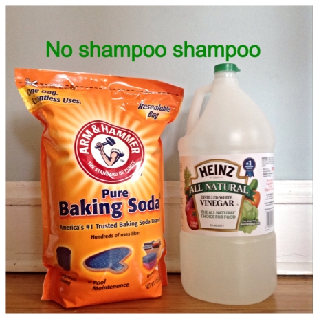 No Shampoo Shampoo- For The Love Of Expression